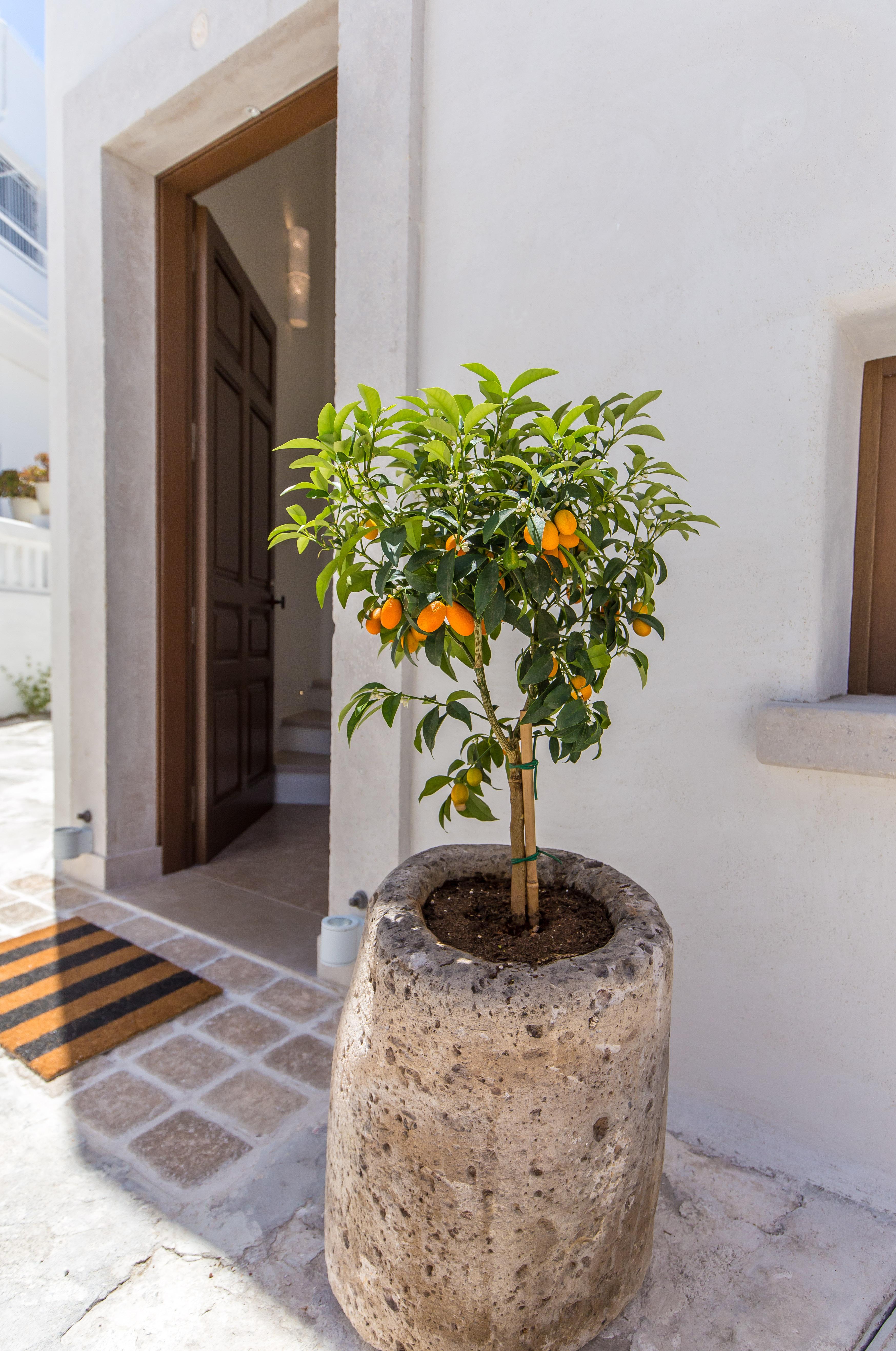 Anagram Hotel Mykonos Town Exterior foto